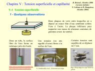 Chapitre V : Tension superficielle et capillarité - LEMM