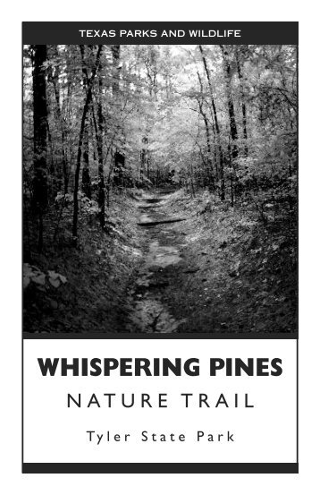 Tyler State Park Whispering Pines Nature Trail - Texas Parks ...