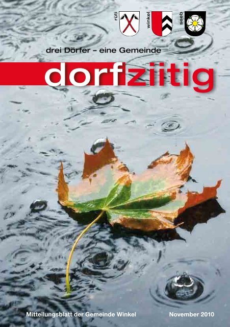 dorfziitig November 2010