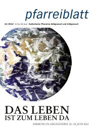 Pfarreiblatt Nr. 12/2012 - Pfarrei St. Martin Adligenswil