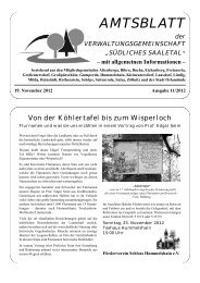 AMTSBLATT - VGem. Südliches Saaletal