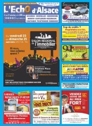 1 page d'alsace Mise en Echo bIfy76Ygvm