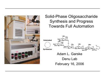 Solid-phase Oligosaccharide Synthesis and Progress Towards Full ...