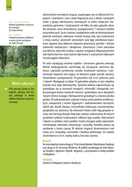 Przewodnik po obszarach Natura 2000 (pdf, 7 MB - Ogólnopolskie ...