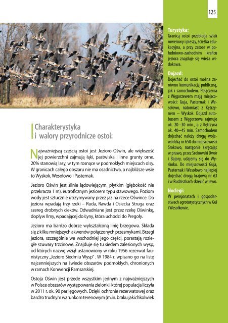 Przewodnik po obszarach Natura 2000 (pdf, 7 MB - Ogólnopolskie ...