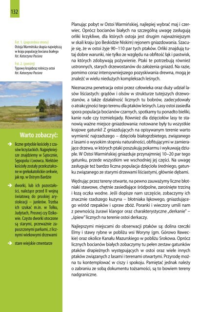 Przewodnik po obszarach Natura 2000 (pdf, 7 MB - Ogólnopolskie ...