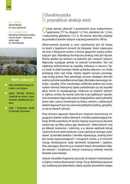 Przewodnik po obszarach Natura 2000 (pdf, 7 MB - Ogólnopolskie ...