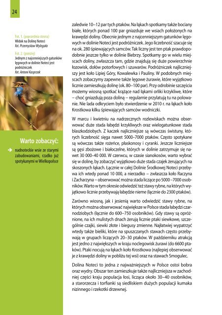 Przewodnik po obszarach Natura 2000 (pdf, 7 MB - Ogólnopolskie ...