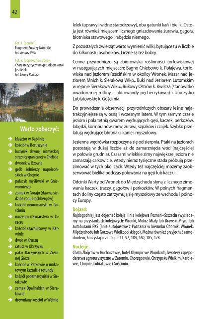 Przewodnik po obszarach Natura 2000 (pdf, 7 MB - Ogólnopolskie ...