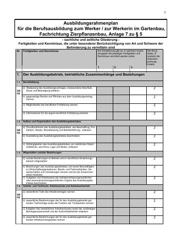 Ausbildungsrahmenplan für die Berufsausbildung zum Werker / zur ...