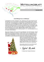 Dezember 2012.pdf - Michelau im Steigerwald