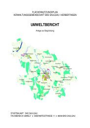 Umweltbericht zum Flächennutzungsplan - Stadt Bad Saulgau