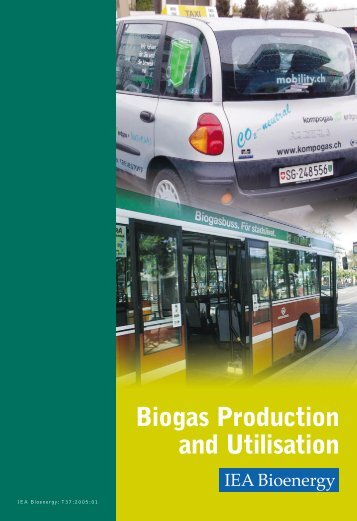 BioG-2005010 IEA T37 biogas brochure.pdf