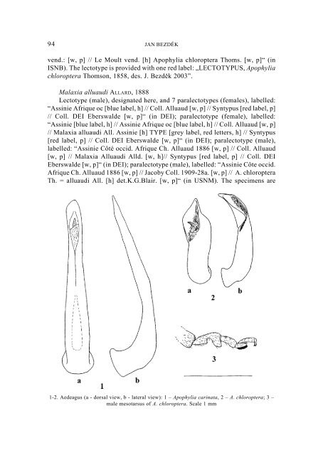 Revisional study on African Apophylia. Part 1.