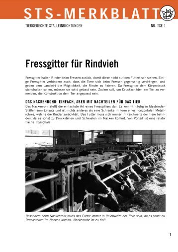 Fressgitter für Rindvieh - Schweizer Tierschutz STS