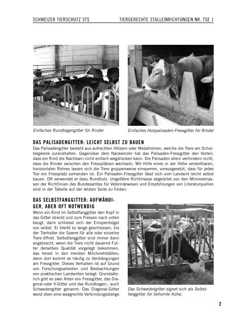Fressgitter für Rindvieh - Schweizer Tierschutz STS