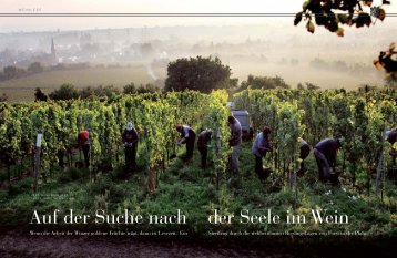 Auf der Suche nach der Seele im Wein - Weingut Georg Mosbacher