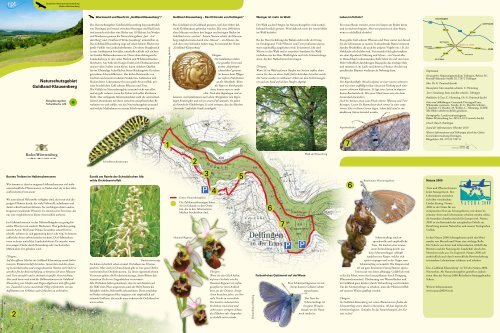 Naturschutzgebiet Goldland-Klausenberg - Gemeinde Dettingen an ...