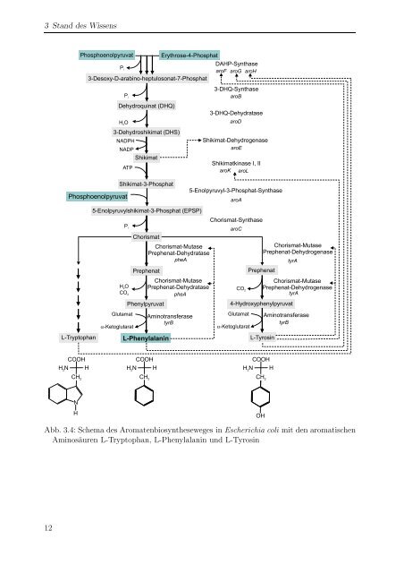 m i t Escherichia coli - Forschungszentrum Jülich