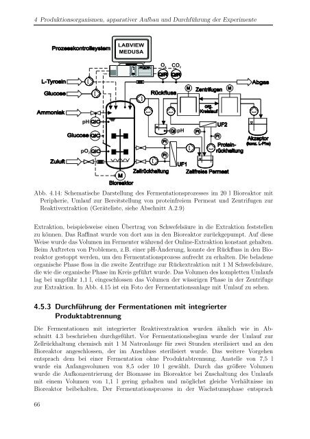 m i t Escherichia coli - Forschungszentrum Jülich