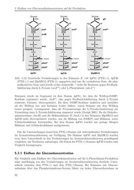 m i t Escherichia coli - Forschungszentrum Jülich