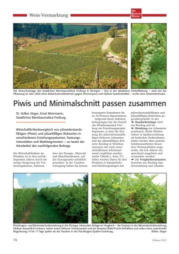 Piwis und Minimalschnitt passen zusammen