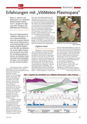 Erfahrungen mit „VitiMeteo Plasmopara“