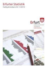 Statistischer Halbjahresbericht 1/2010 - Erfurt