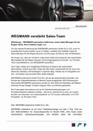 WEGMANN verstärkt Sales-Team - WEGMANN automotive