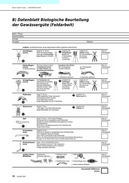 Bioindikation im Lebensraum Bach und Fluss - GLOBE