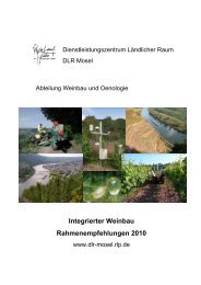 Integrierter Weinbau Rahmenempfehlungen 2010