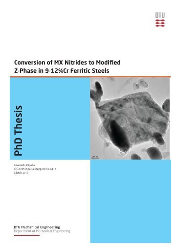 Conversion of MX Nitrides to Modified Z-phase - Solid Mechanics ...