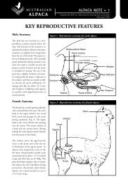 KEY REPRODUCTIVE FEATURES - Australian Alpaca Association