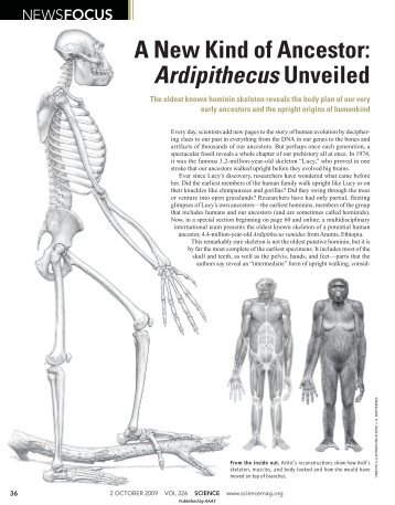 A New Kind of Ancestor: Ardipithecus Unveiled - Science