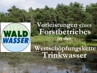 Wertschöpfungskette Trinkwasser - Waldwasser
