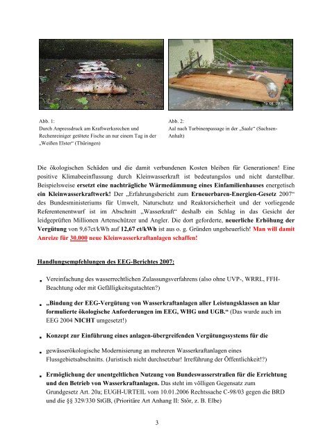 Positionspapier des DAV zur Wasserkraft (PDF 97 KB