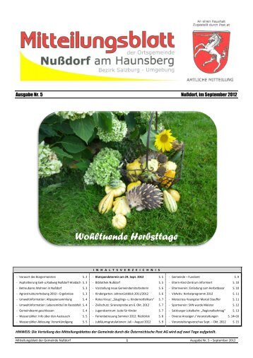 (3,22 MB) - .PDF - Gemeinde - Nußdorf am Haunsberg - Salzburg.at