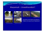 Wasserkraft – Umweltfreundlich? - Rettet die Mur!