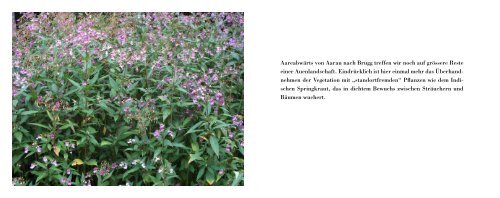 Der Aare entlang 2011 (pdf 5.7MB) - bxgrafik