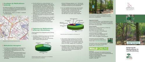 Flyer: Kartierung der Waldfunktionen im Land ... - Brandenburg.de