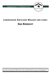 Nr. 7 Das Röhricht - Bund für Umwelt und Naturschutz, Kreisgruppe ...