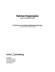 Rahmen-Hygieneplan - Kreis Pinneberg