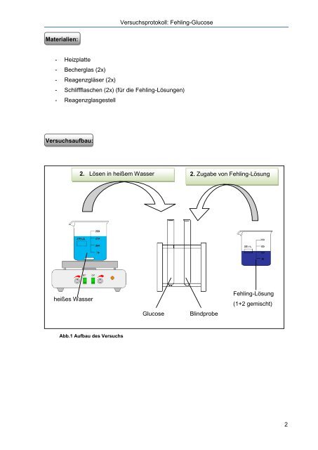 Versuchsprotokoll: Fehling-Glucose - ChidS