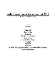 Arbeitsprogramm Gemeinderat 2011 - Stadt Waldshut-Tiengen
