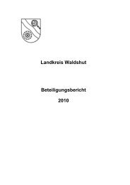 Landkreis Waldshut Beteiligungsbericht 2010 - Landratsamt Waldshut