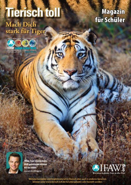 Tiger In Anderen Sprachen Tiger In Anderen Sprachen