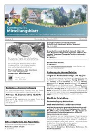 Mitteilungsblatt Nr. 25 (06.12.2012) pdf - Hollfeld