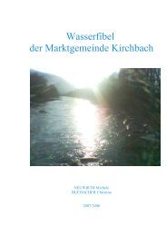 Die Wasserfibel - Kirchbach
