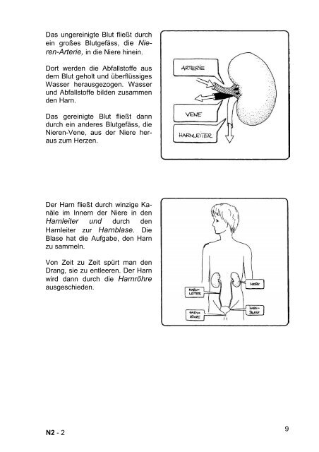 Mein Buch über Nieren und Nierenkrankheit - Nierenkranke Kinder ...