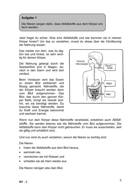 Mein Buch über Nieren und Nierenkrankheit - Nierenkranke Kinder ...